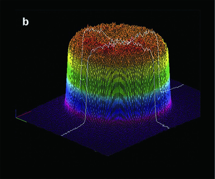 1617935687699049.jpg 1617935687699049.jpg