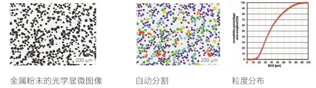 1606113412576313.jpg