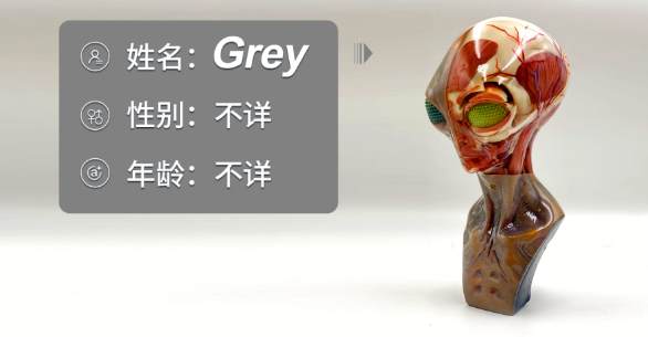 屏幕快照 2021-01-15 上午10.16.14.png