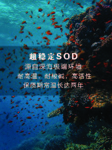 1615622034343046.jpg