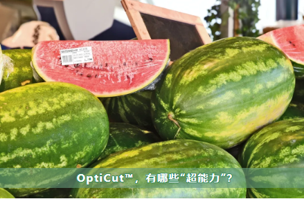 360截图20210318114439306.png