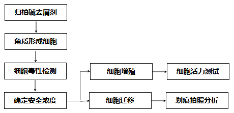 image001_1.png