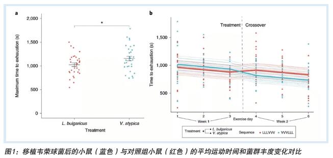 QQ截图20210607165314.jpg