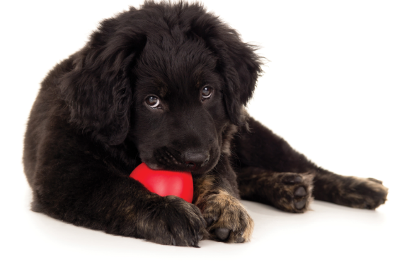 屏幕快照 2021-09-29 上午11.35.30.png