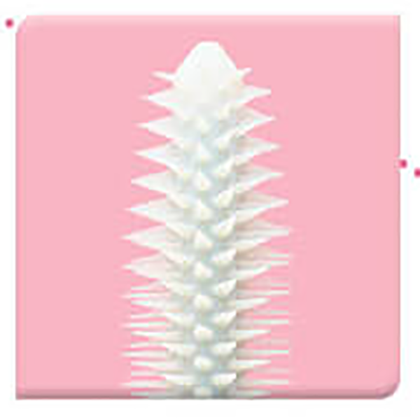 image007.png