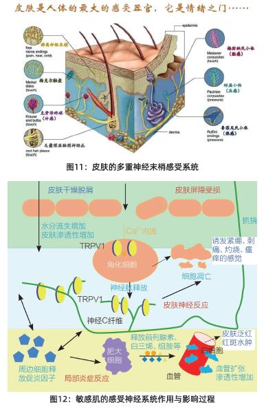 QQ截图20211115164631.jpg