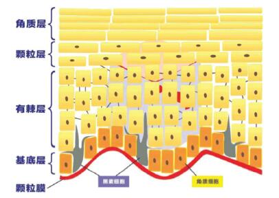 QQ截图20211116103552.jpg