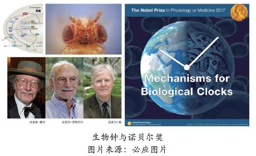 QQ截图20211215130842.jpg