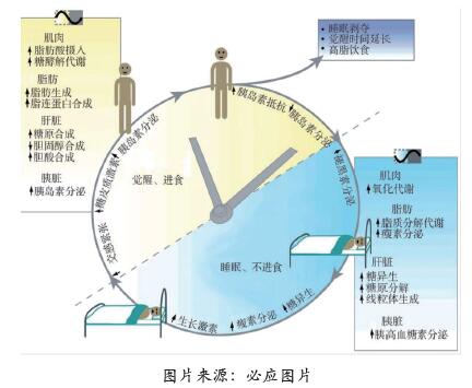 QQ截图20211215130916.jpg