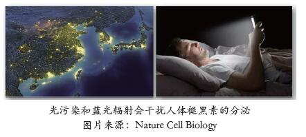 QQ截图20211215131118.jpg