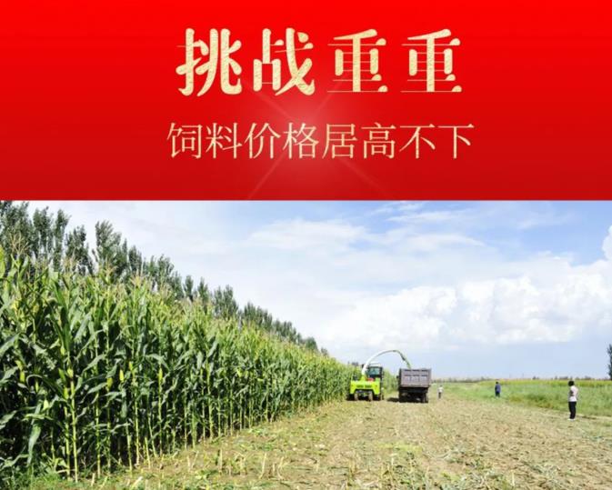 微信截图_20220207115610.jpg