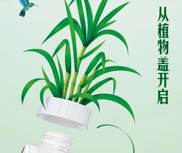 图2.jpeg