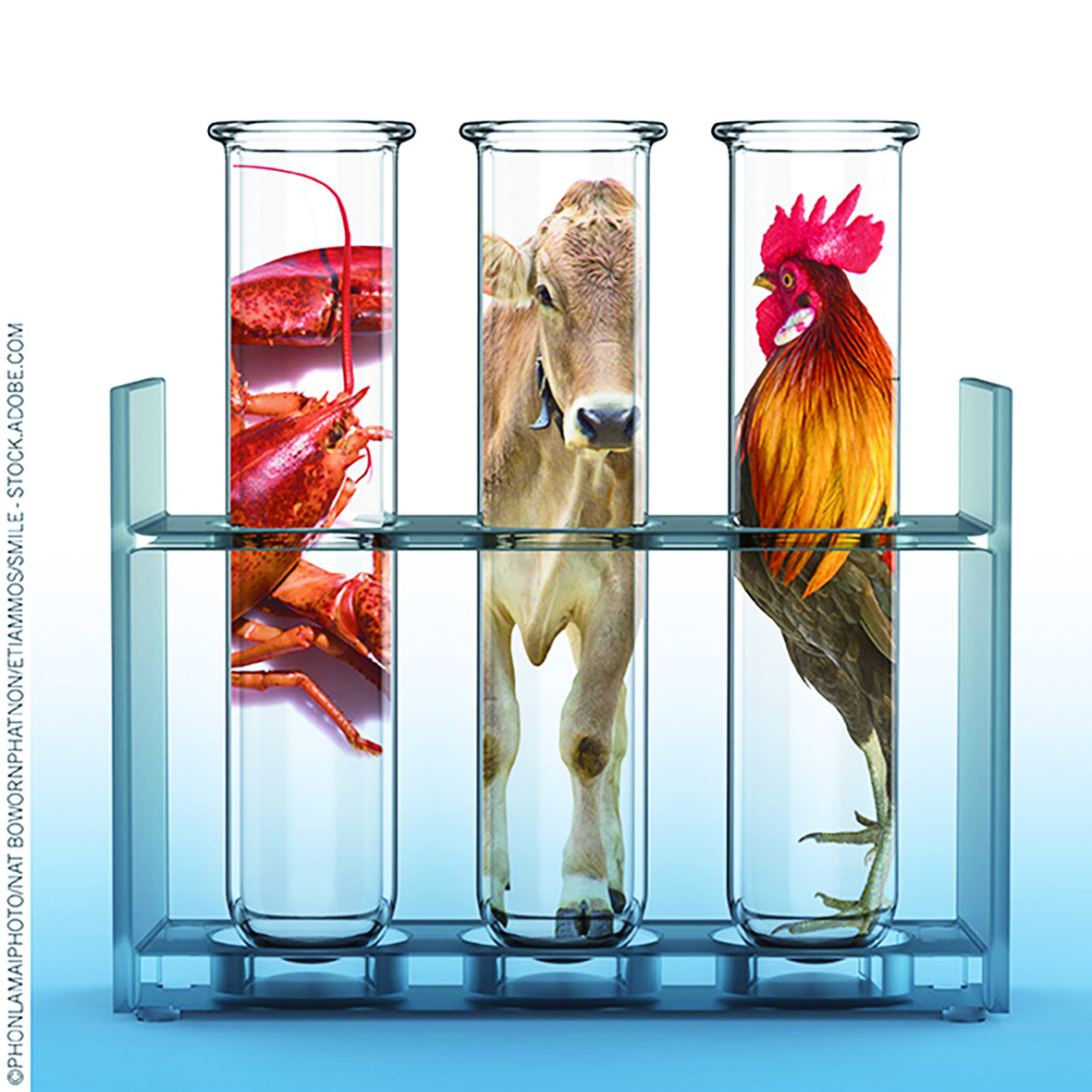 CellBased_Meat_FQU0521.jpg