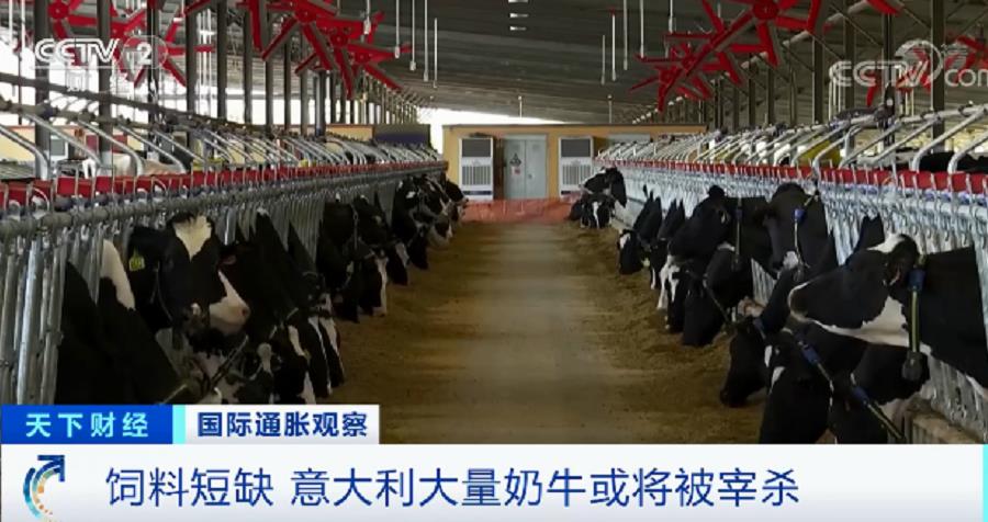 微信截图_20220330090706.jpg
