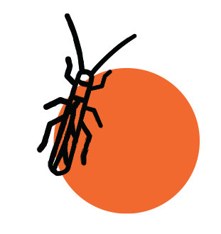 昆.jpg