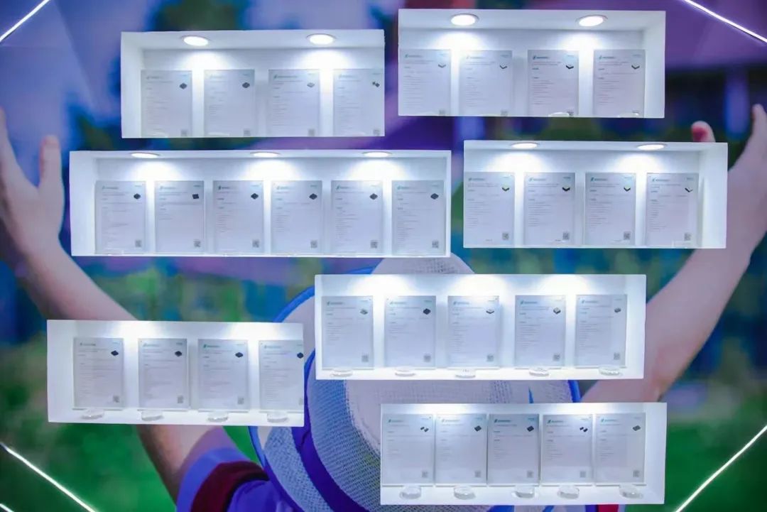333640.jpg