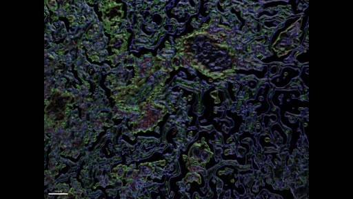 1681977964735518.jpg