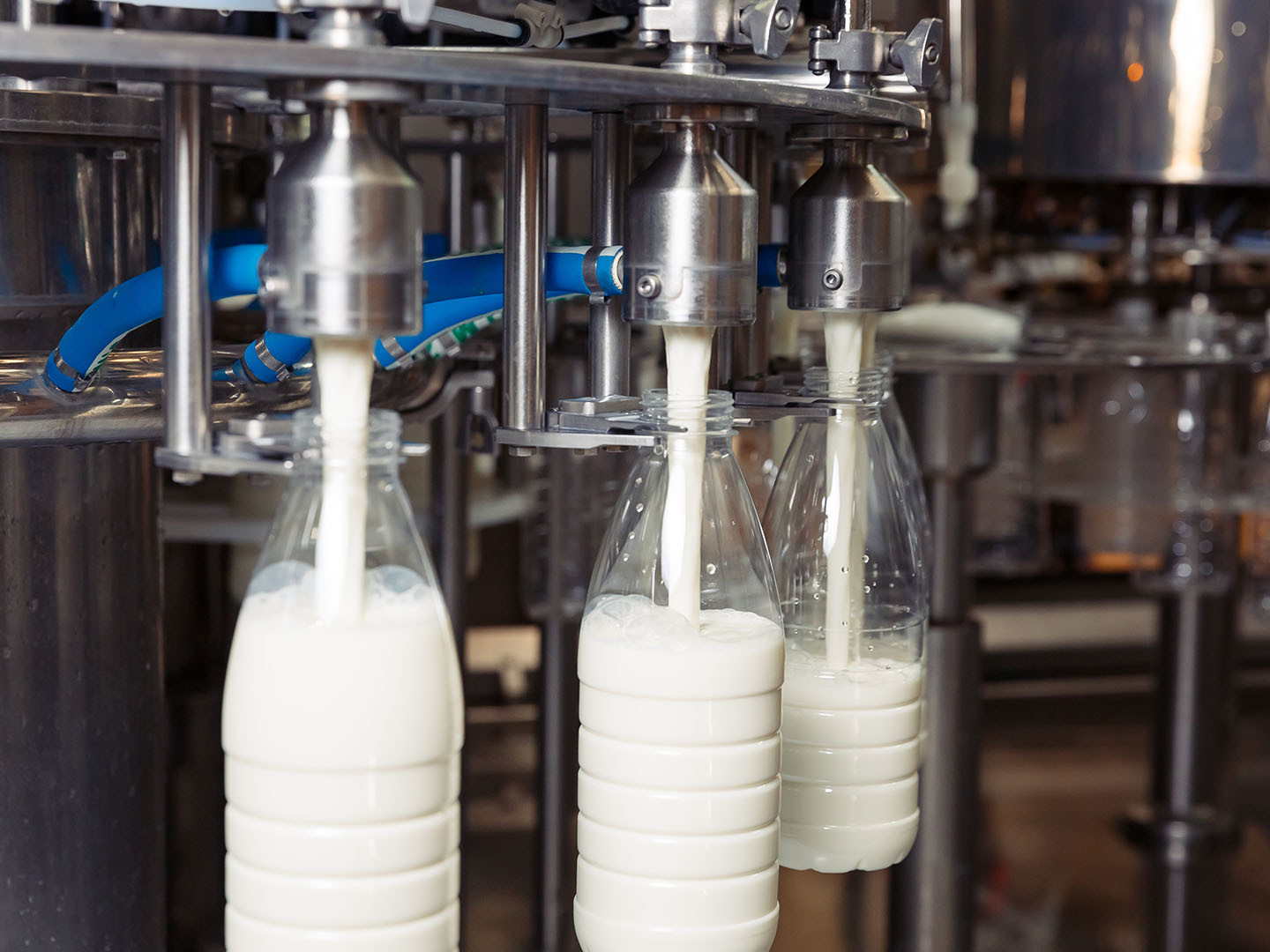 MO_GBL_2022_Farm_to_Fork_Dairy_LandingPage_picture2.jpg