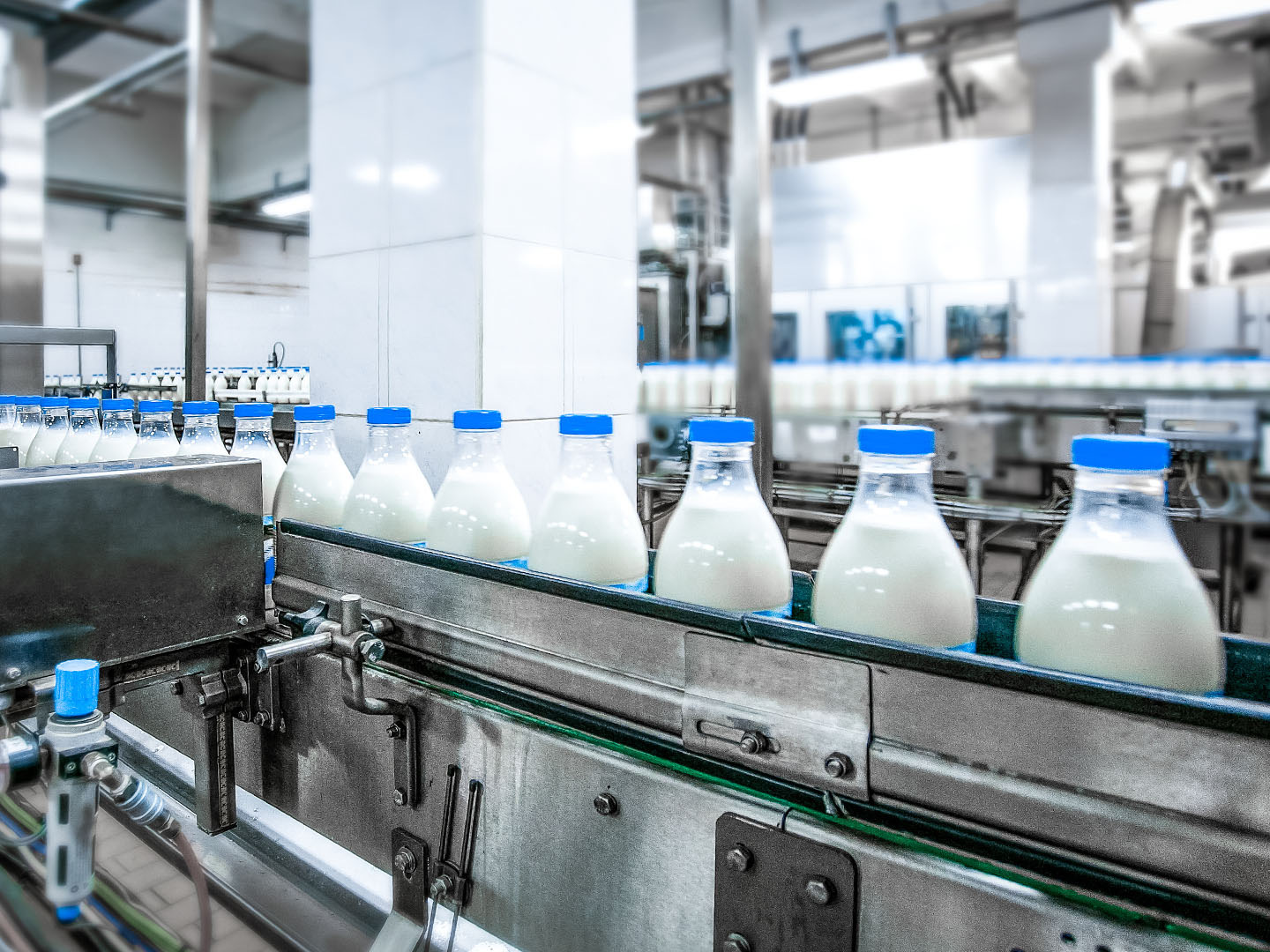 MO_GBL_2022_Farm_to_Fork_Dairy_LandingPage_picture3.jpg