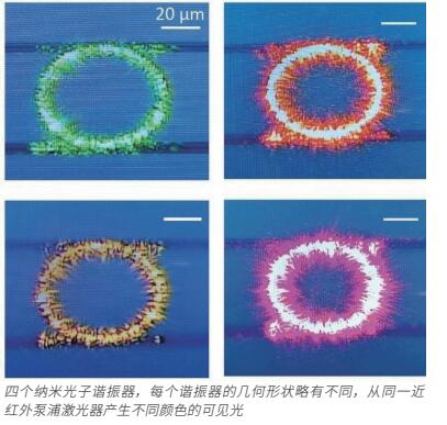 QQ截图20230705153407.jpg