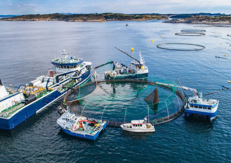 Aquaculture1.jpg