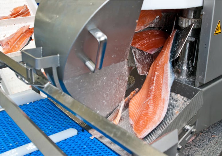 Aquaculture2.jpg