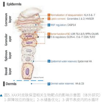 QQ截图20230710181021.jpg