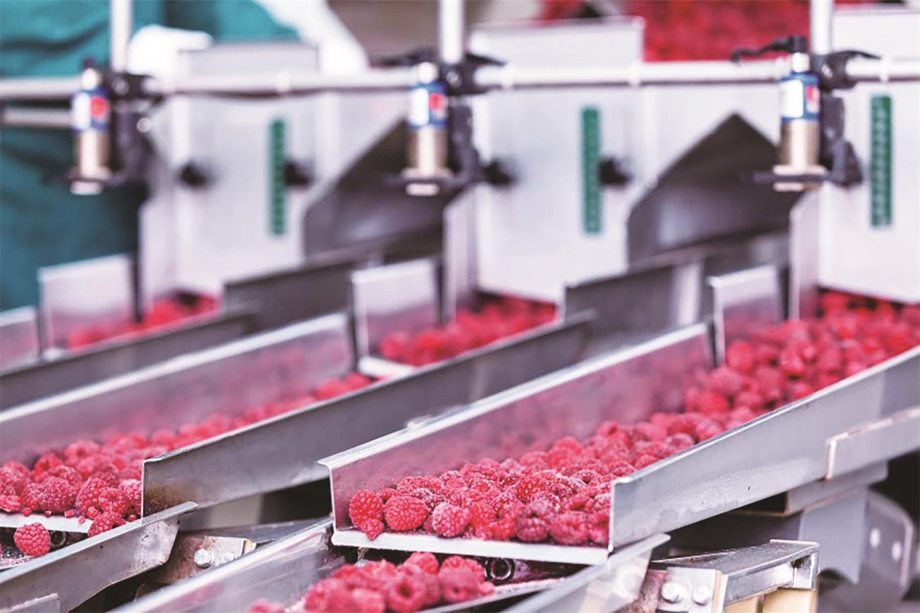 food-processing-line.jpg