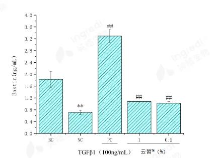 图：云皙™对细胞弹力蛋白含量的影响，来源于英格生物.jpg