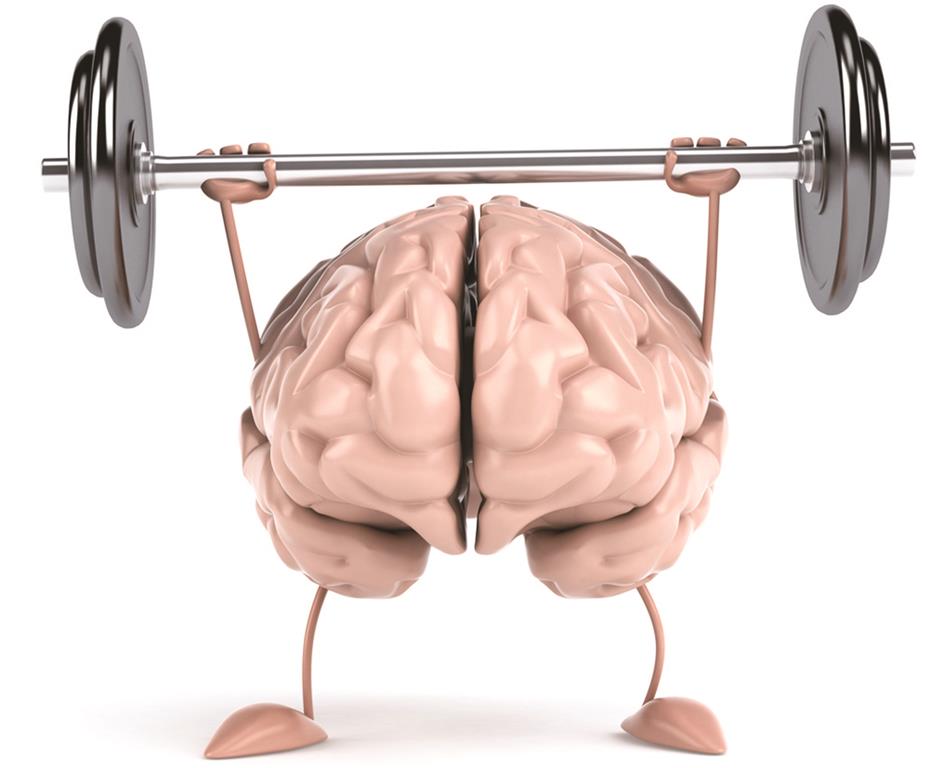 healthy-brain.jpg