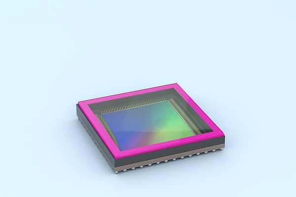 1697098415533793.jpg