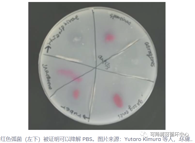 微信图片_20231020085949.png